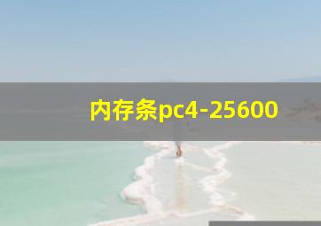 内存条pc4-25600