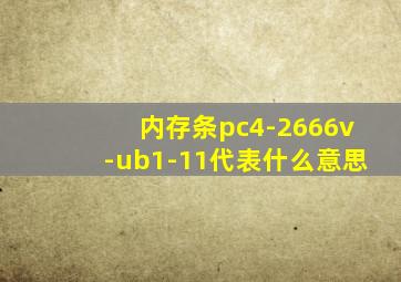 内存条pc4-2666v-ub1-11代表什么意思