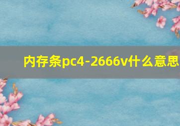 内存条pc4-2666v什么意思