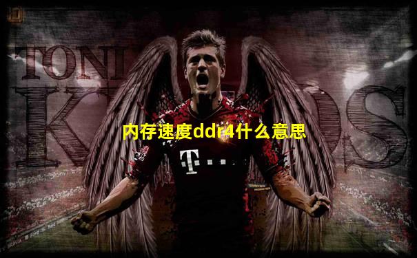 内存速度ddr4什么意思