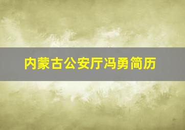 内蒙古公安厅冯勇简历