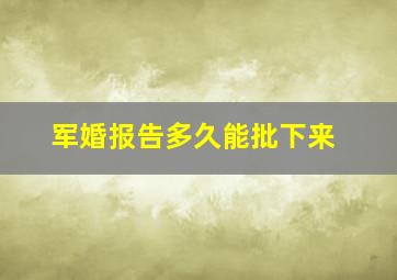 军婚报告多久能批下来