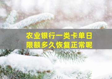 农业银行一类卡单日限额多久恢复正常呢