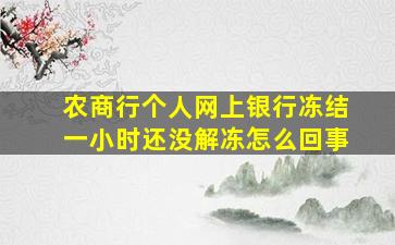 农商行个人网上银行冻结一小时还没解冻怎么回事