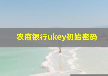 农商银行ukey初始密码