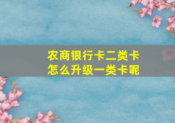 农商银行卡二类卡怎么升级一类卡呢