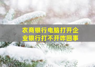 农商银行电脑打开企业银行打不开咋回事