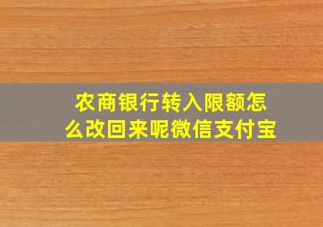 农商银行转入限额怎么改回来呢微信支付宝