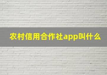 农村信用合作社app叫什么