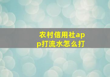 农村信用社app打流水怎么打