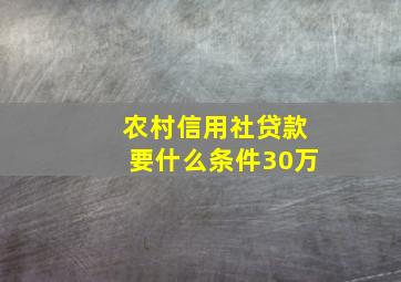 农村信用社贷款要什么条件30万