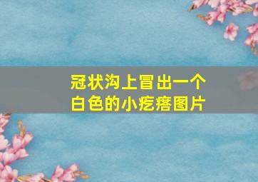 冠状沟上冒出一个白色的小疙瘩图片