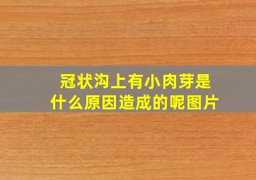 冠状沟上有小肉芽是什么原因造成的呢图片