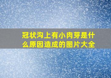 冠状沟上有小肉芽是什么原因造成的图片大全