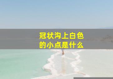 冠状沟上白色的小点是什么