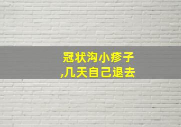 冠状沟小疹子,几天自己退去