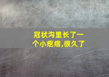 冠状沟里长了一个小疙瘩,很久了