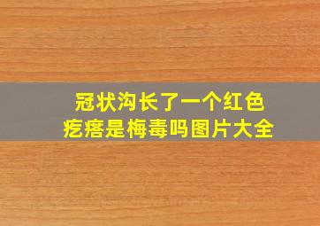 冠状沟长了一个红色疙瘩是梅毒吗图片大全