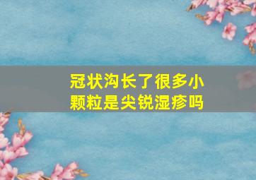 冠状沟长了很多小颗粒是尖锐湿疹吗