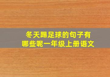 冬天踢足球的句子有哪些呢一年级上册语文