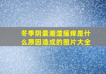 冬季阴囊潮湿瘙痒是什么原因造成的图片大全