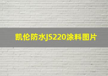 凯伦防水JS220涂料图片