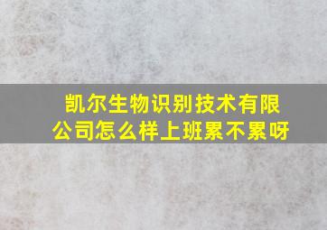 凯尔生物识别技术有限公司怎么样上班累不累呀