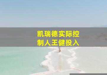 凯瑞德实际控制人王健投入