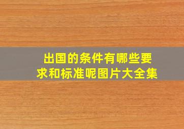 出国的条件有哪些要求和标准呢图片大全集