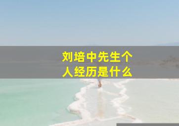 刘培中先生个人经历是什么