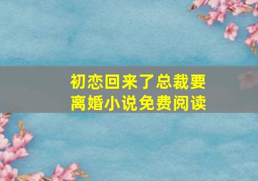 初恋回来了总裁要离婚小说免费阅读