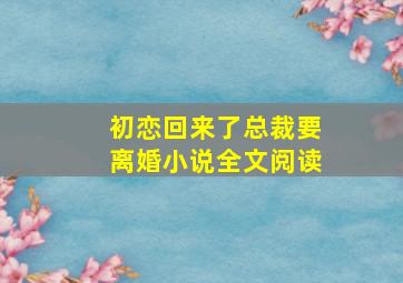 初恋回来了总裁要离婚小说全文阅读