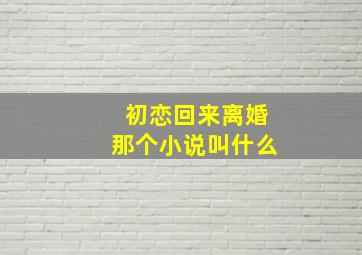 初恋回来离婚那个小说叫什么