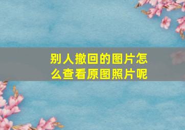 别人撤回的图片怎么查看原图照片呢