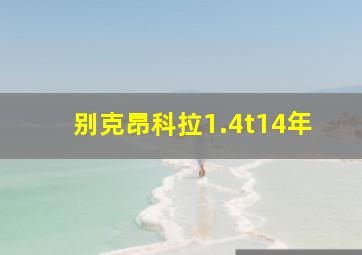 别克昂科拉1.4t14年