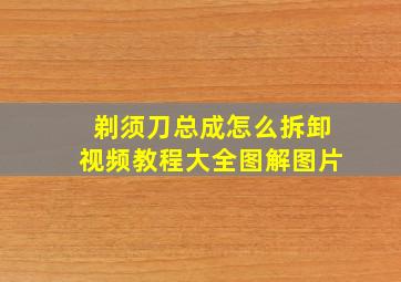 剃须刀总成怎么拆卸视频教程大全图解图片