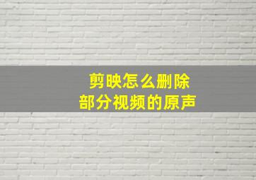 剪映怎么删除部分视频的原声