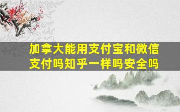 加拿大能用支付宝和微信支付吗知乎一样吗安全吗