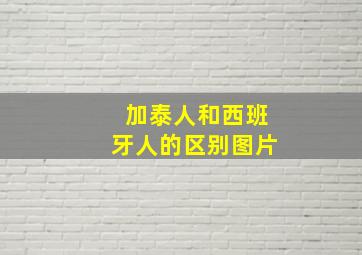 加泰人和西班牙人的区别图片