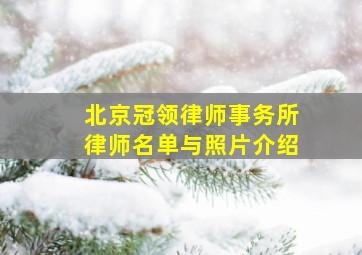 北京冠领律师事务所律师名单与照片介绍