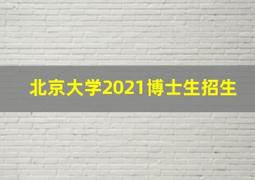 北京大学2021博士生招生