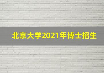 北京大学2021年博士招生