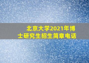 北京大学2021年博士研究生招生简章电话