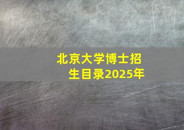 北京大学博士招生目录2025年