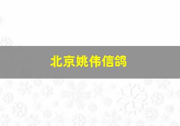 北京姚伟信鸽