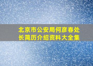 北京市公安局何彦春处长简历介绍资料大全集