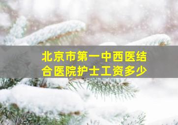 北京市第一中西医结合医院护士工资多少