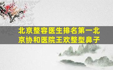 北京整容医生排名第一北京协和医院王欢整型鼻子