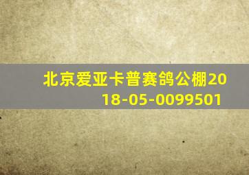 北京爱亚卡普赛鸽公棚2018-05-0099501