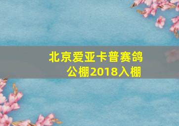 北京爱亚卡普赛鸽公棚2018入棚